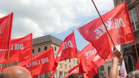 bild1.jpg