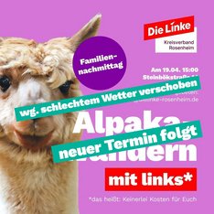 Alpakawandern mit links